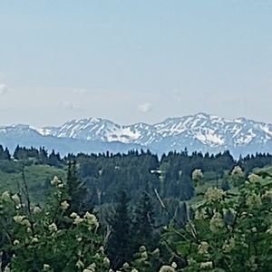 Meet your Posher, Guiltytreasuresthriftwest